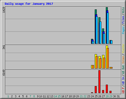 Daily usage for January 2017