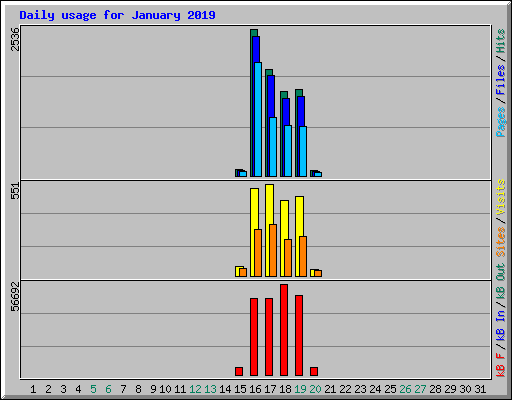 Daily usage for January 2019