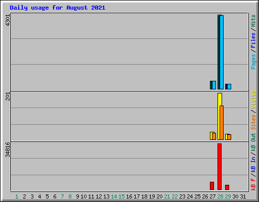 Daily usage for August 2021