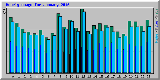 Hourly usage for January 2016