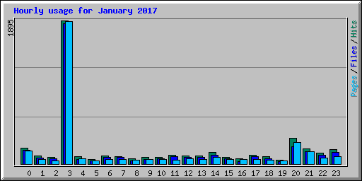 Hourly usage for January 2017