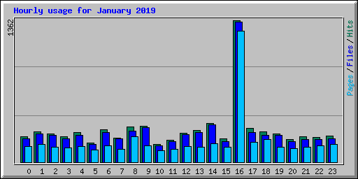 Hourly usage for January 2019