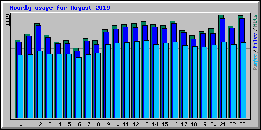 Hourly usage for August 2019