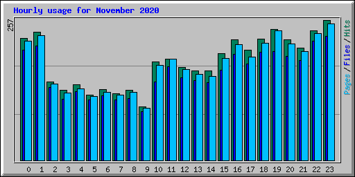 Hourly usage for November 2020