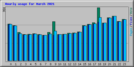 Hourly usage for March 2021