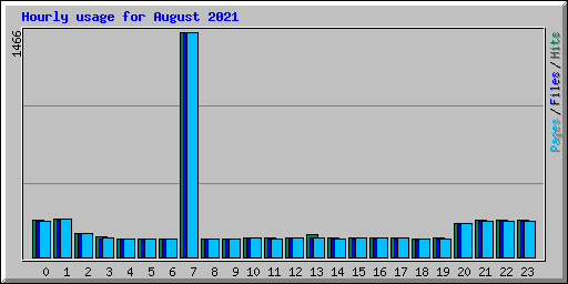 Hourly usage for August 2021