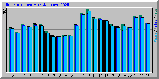 Hourly usage for January 2023