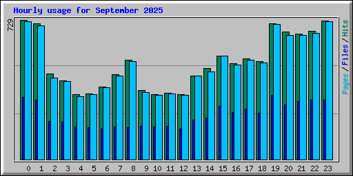 Hourly usage for September 2025